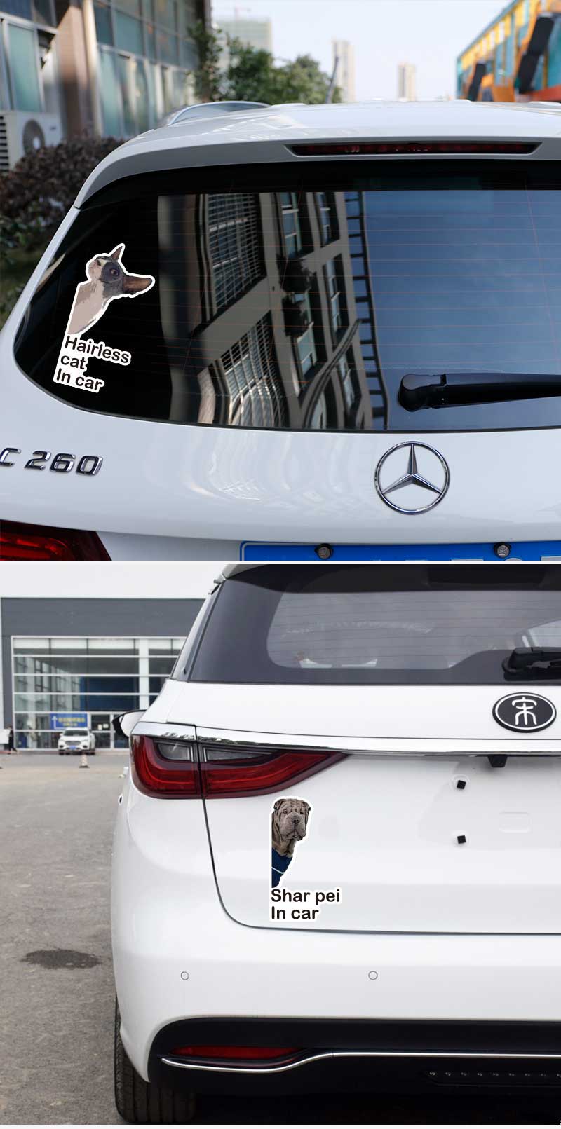 cat on board car sticker
