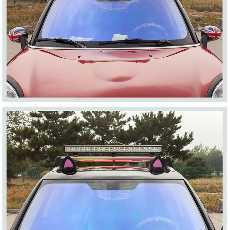 funny auto roof sticker