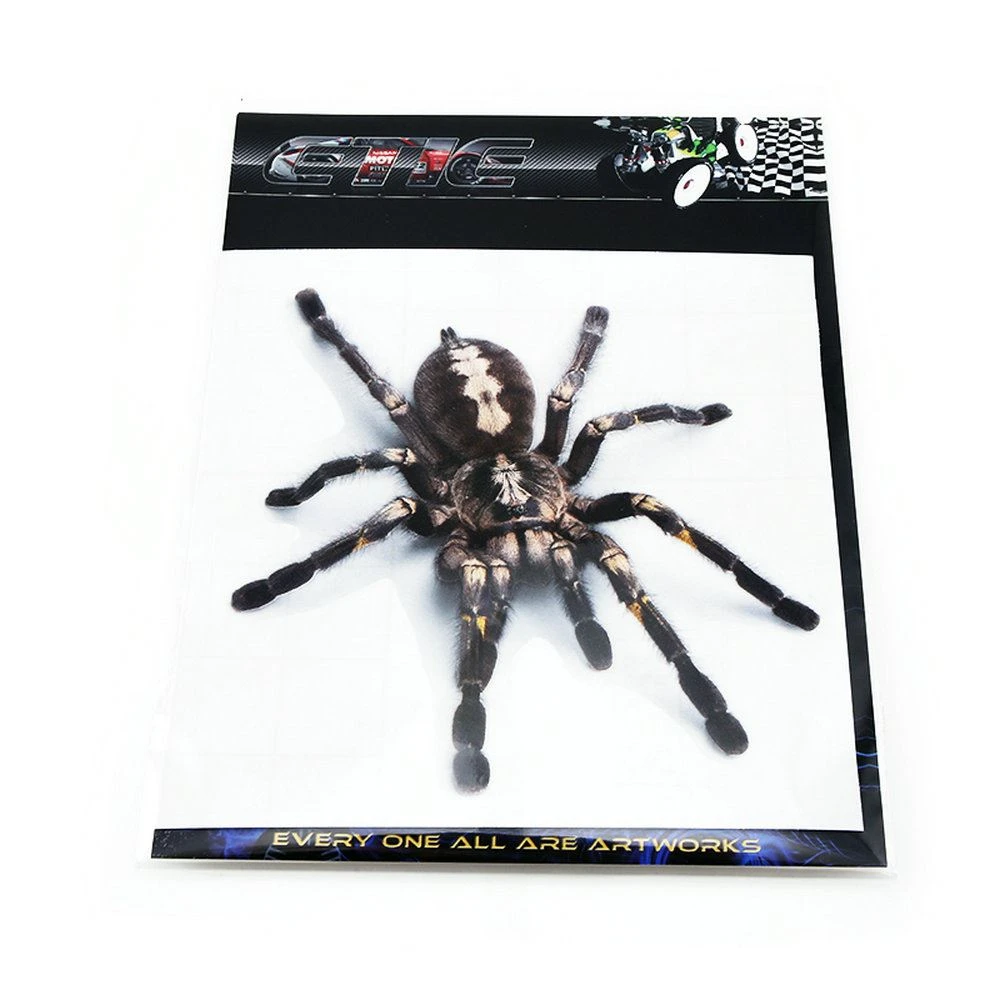 3D spider decal 3D spider decal