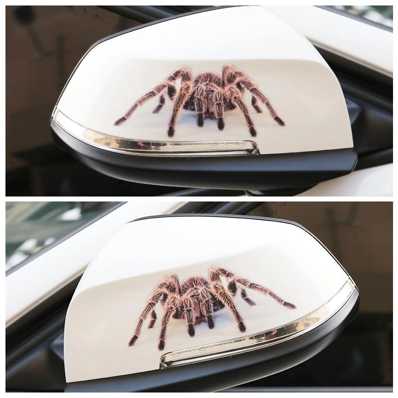 spider car rear view sticker