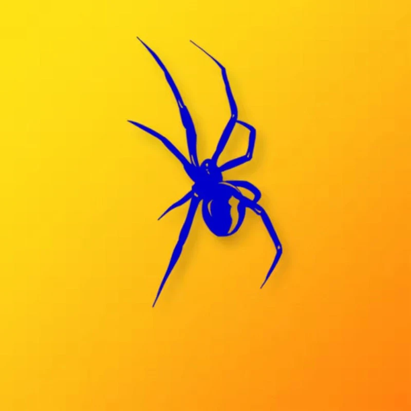 Spider Pattern Sticker For Car