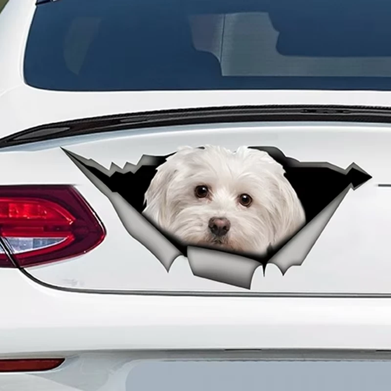 Decals anjing penataan mobil hewan hewan