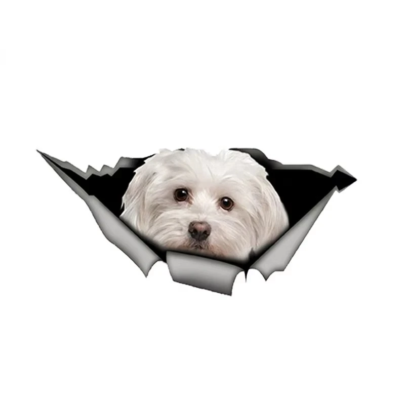 Animal Car Styling Pet Dog Decals