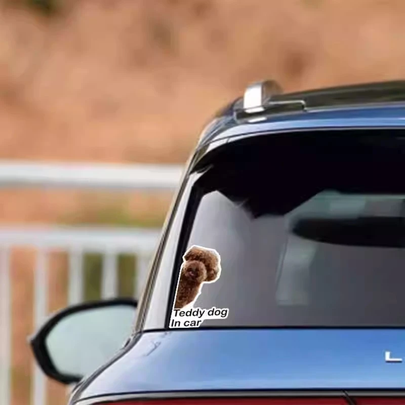 Stiker jendela vinil Mobil Hewan