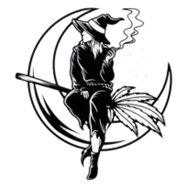 Magic Witch Seating On The Moon Bumper Sticker