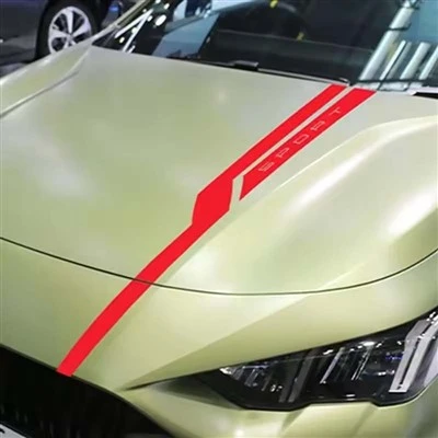 Sticker Bonnet Hood 100cm