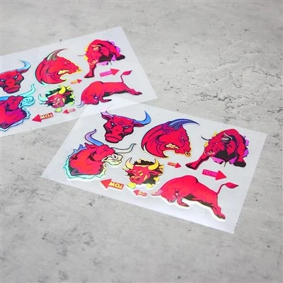 6 pcs/set holographic bull decals