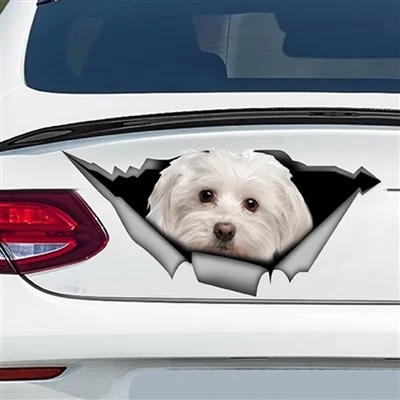 Decals anjing penataan mobil hewan hewan