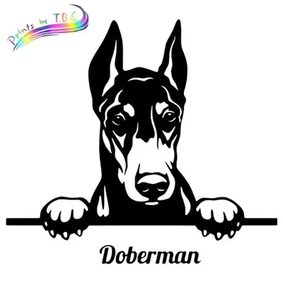 Stiker Hewan