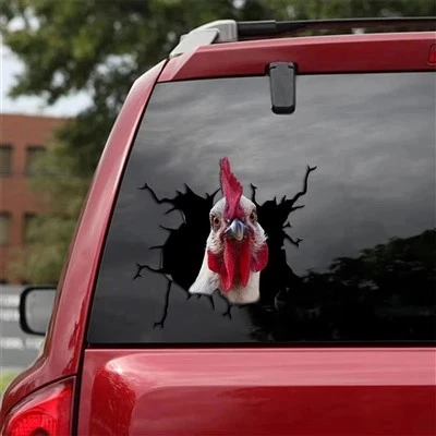 Kartun 3D Stiker Mobil Ayam Untuk Mobil