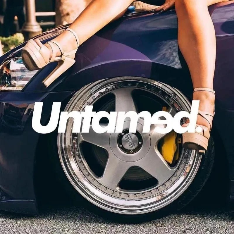Untamed Car Front Rear Windows Stickers suppliers